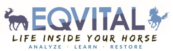Eqvital